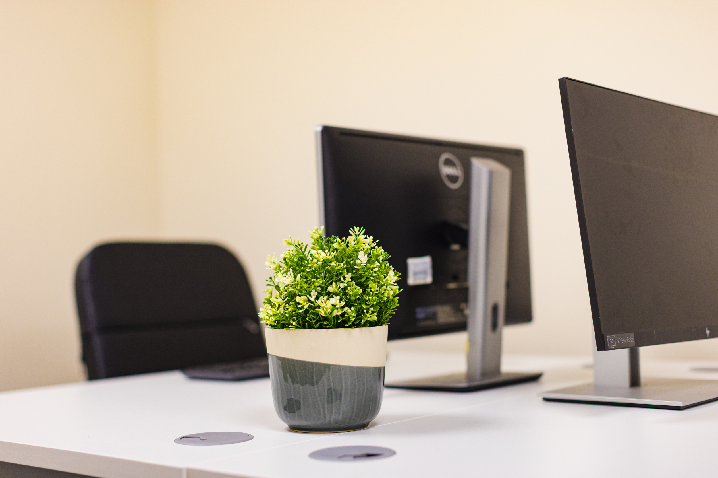 office desk with desktop, a plant, a keyboard and mouse